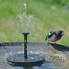 🔥(Last Day Promotion - 50% OFF)Solar-Powered Bird Fountain Kit-BUY 2 FREE SHIPPING