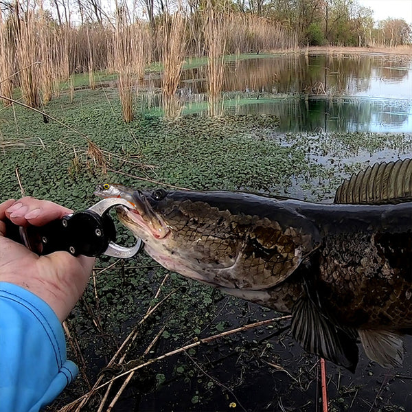 🚨 FLASH SALE ALERT! 🚨 Get 60% OFFFish Attractant Lure-𝟏 𝐏𝐚𝐜𝐤 𝐨𝐟 𝟓 𝐁𝐚𝐢𝐭𝐬