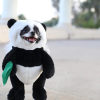 🎁Early Christmas Sale 48% OFF - Panda Dog Costume(🔥🔥BUY 2 FREE SHIPPING)