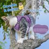 Cat Harness & Leash
