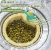 🔥LAST DAY 70% OFF-2024 New Upgraded Cactus Sink Strainer, BUY 1 GET 1 FREE SHIPPING