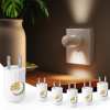 🔥Last Day Promotion 50% OFF🔥LED Wall Socket Night Light