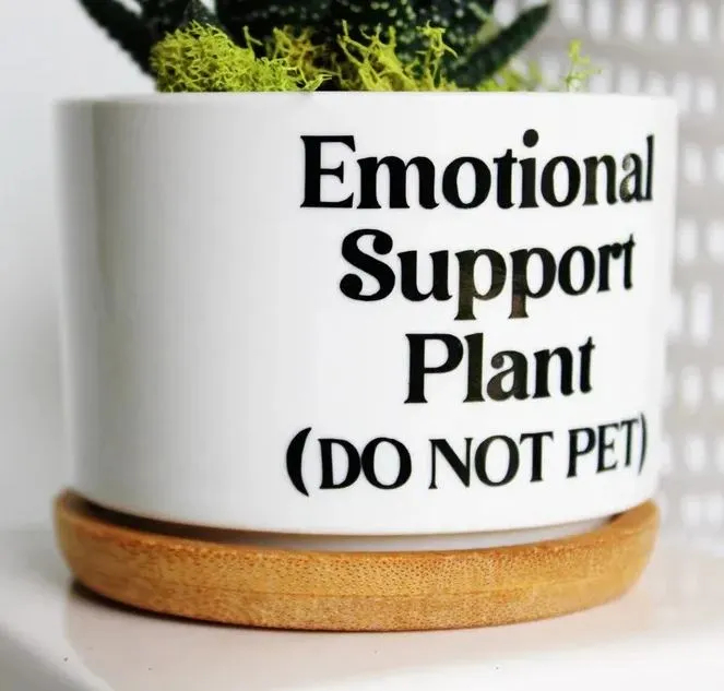 🔥New Year Promotion 50% Off-🌱Funny Plant Pot