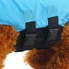 (🔥Last Day Promotion 50% OFF)Dog Life Vest Shark- Keep Your Pet Safe and Stylish in the Water!
