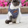 MOTHER'S DAY SALE-49% OFF-Cat Dogs Vest Harness and Leash Anti-break Away Chest Strap Cat Clothes