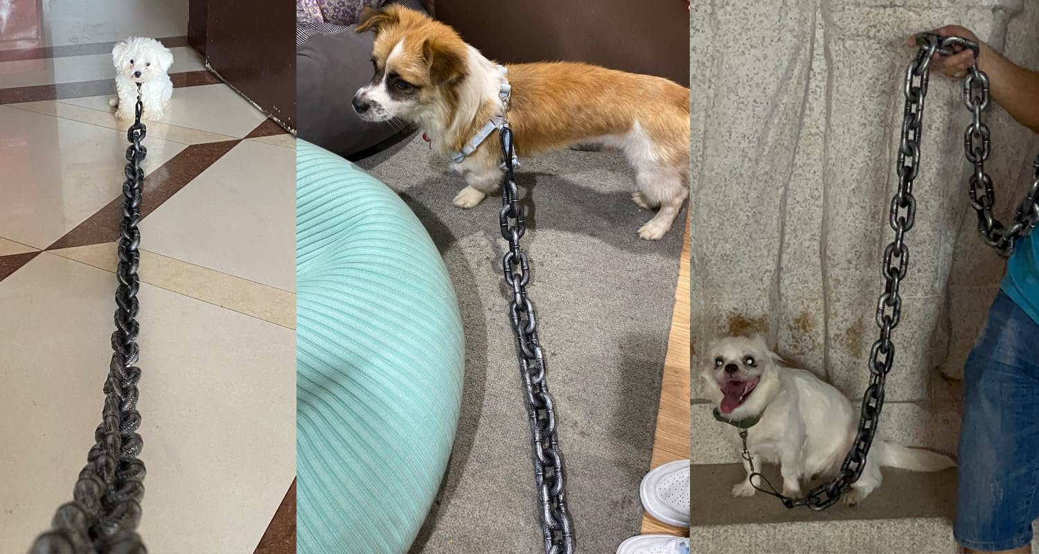 The Chain Paws