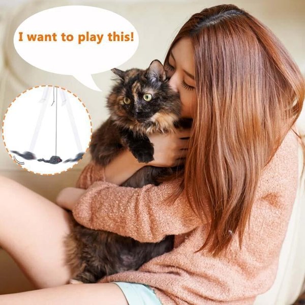 Last Day Promotion 48% OFF - Hanging Door Bouncing Mouse Cat Toy(🎉BUY 2 GET 1 FREE)