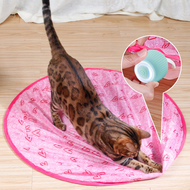 🔥Last Day 50% OFF- 2 in 1 Simulated Interactive Hunting Cat Toy✨