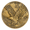 Eagle Christian Challenge Coin – Strength in the Storm