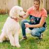 Flea & Tick Spray for Pets + Home with Natural Essential Oils
