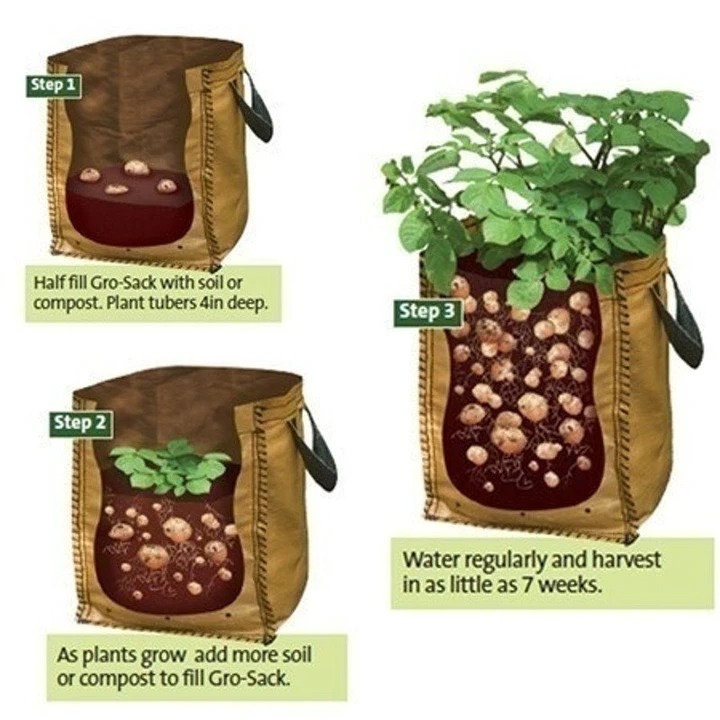 (SUMME SALE)50L Large Capacity Potato Grow Planter PE Container Bag- Buy 4 Free shippng