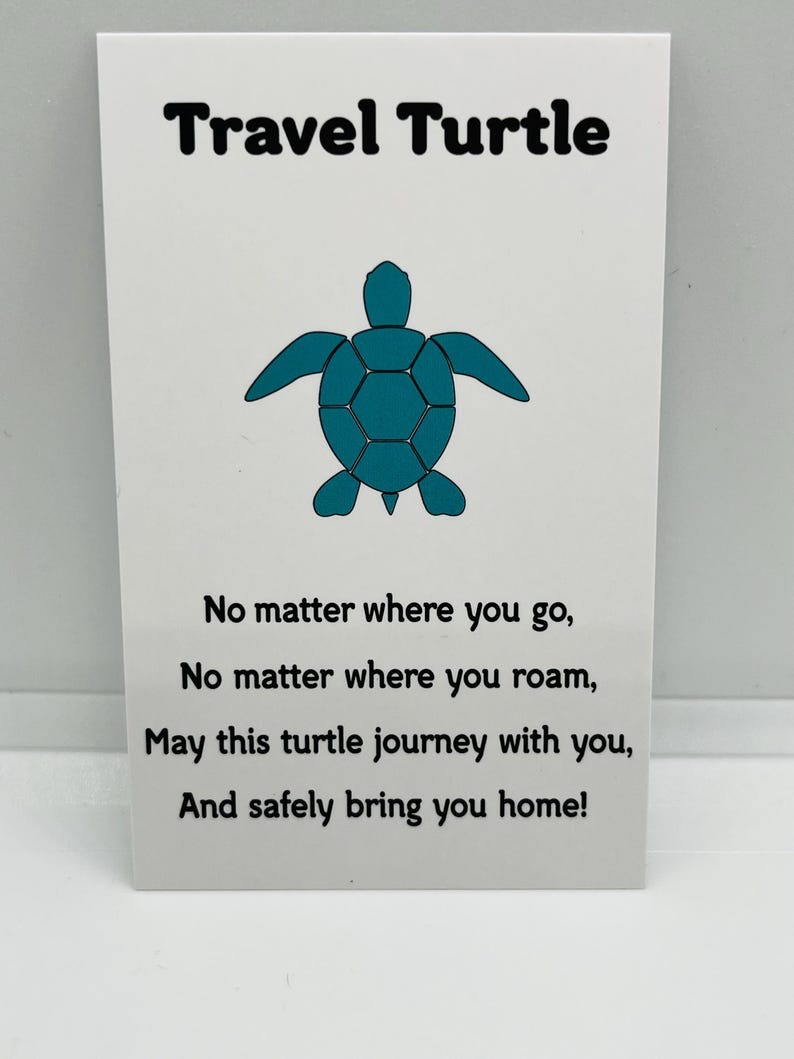 🐢Travel Turtle Keychain