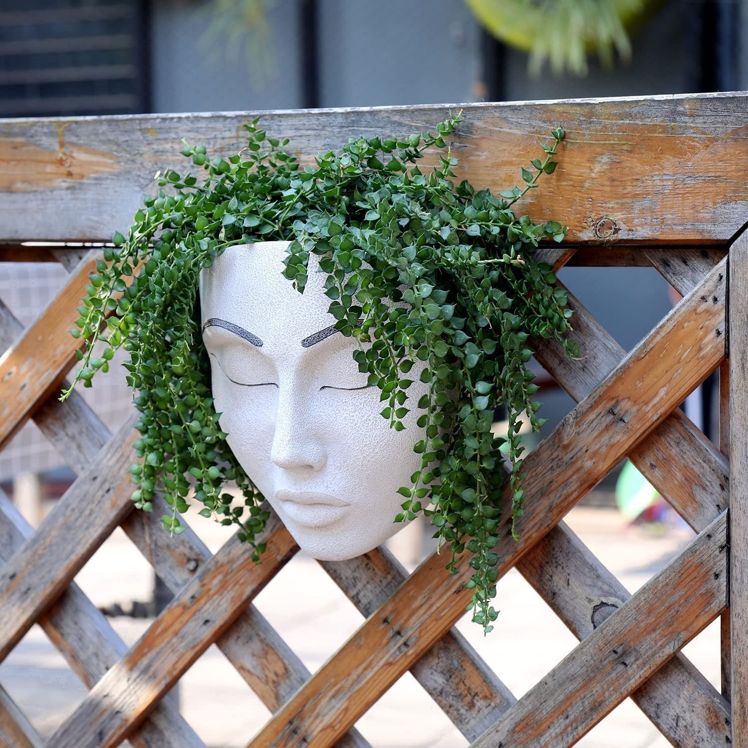 🔥Handmade Plant Faces-Buy 2 Get Free Shipping