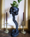 Skull Planter & Spine Stand Sets