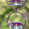 🎉 Promotion-49% OFF 🎉Hummble Slim Hummingbird Feeder