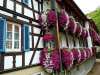 (🔥Last Day Promotion 50% OFF)🌷Vivid Artificial Hanging Orchid Bunch