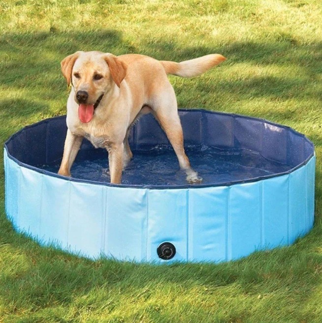 (Factory Outlet Sale- Save 50% OFF) Portable Paw Pool