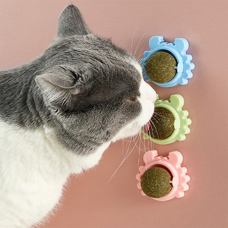(🎅EARLY CHRISTMAS SALE-49% OFF)🔥Catnip Balls🔥🔥Buy 5 get 3 free(8 pcs)&FREE SHIPPING