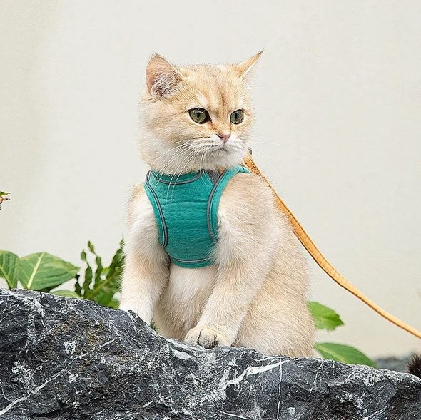 Summer Hot Sale 50% OFF -  Escape Proof Cat Vest Harness and Leash Set(BUY 2 FREE SHIPPING)