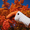 Crochet Goose Mittens