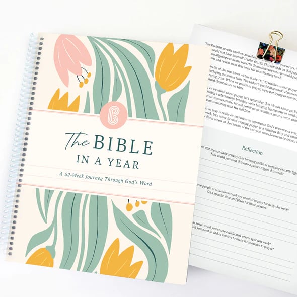 🔥LAST DAY 49% OFF - ✝️📚The Bible In A Year: A 52-Week Study(✨Hardcover Book)