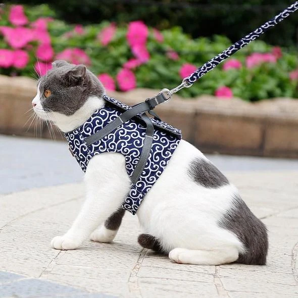 🔥This Week's Special Offer 49% OFF - Cat Vest Harness and Leash Set(Buy 2 Get Extra 10% OFF & Free Shipping)