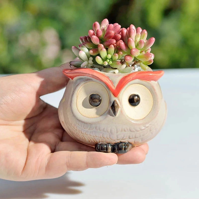 Cute Owl Ceramic Succulent Planter Pot- Buy 2 Free Shipping