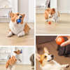 🔥New Year Promotion 48% OFF🐶😺Automatic Rolling Ball Pet Toy🎁Buy 2 Free Shipping