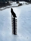 Iron Art Snow Gauge