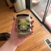 Swamp Ass Green Ogre Candle