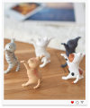 🔥 2021 Popular Toy Ornaments Kitten Stents Cat Penholders Pet Toys Hot sale - Special Event 50% OFF