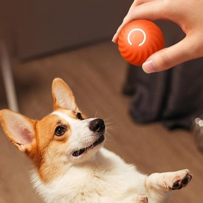 🔥Chewie Viral Hüpfball