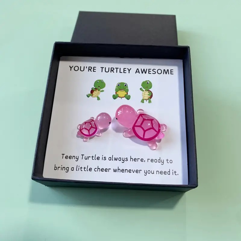 🐢Turtle Gift Box Set -