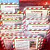 🎄Elf Kit 24/12 Days of Christmas