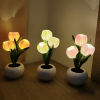 🔥Last Day Promotion - 50% OFF-🎁-🌷LED Tulip Night Light🌷