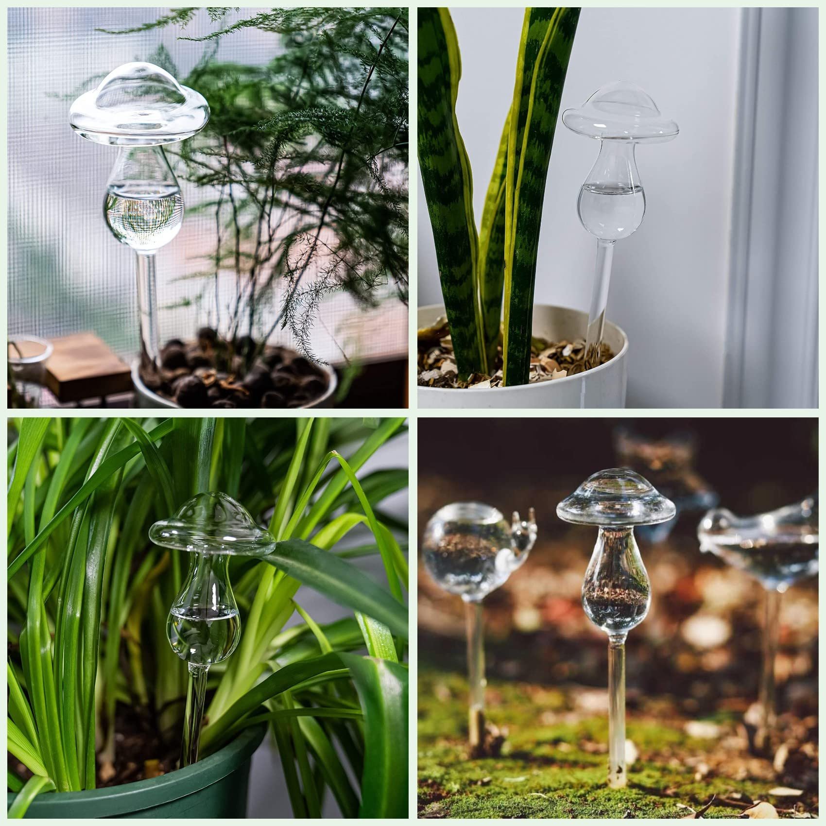 🎁TikTok Last Day Sale - 70% OFF✨ Mushroom Shaped Self-Watering Globes