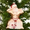 🔥Hot Sale 60% OFF - 🤣Funny Claus Christmas Ornament(6