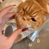 ⏰LAST DAY SALE 50% OFF💥My Pet Keychain