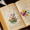 🔥Last Day 70% OFF🔥Transparent Dried Flower Bookmarks(20pcs/set)