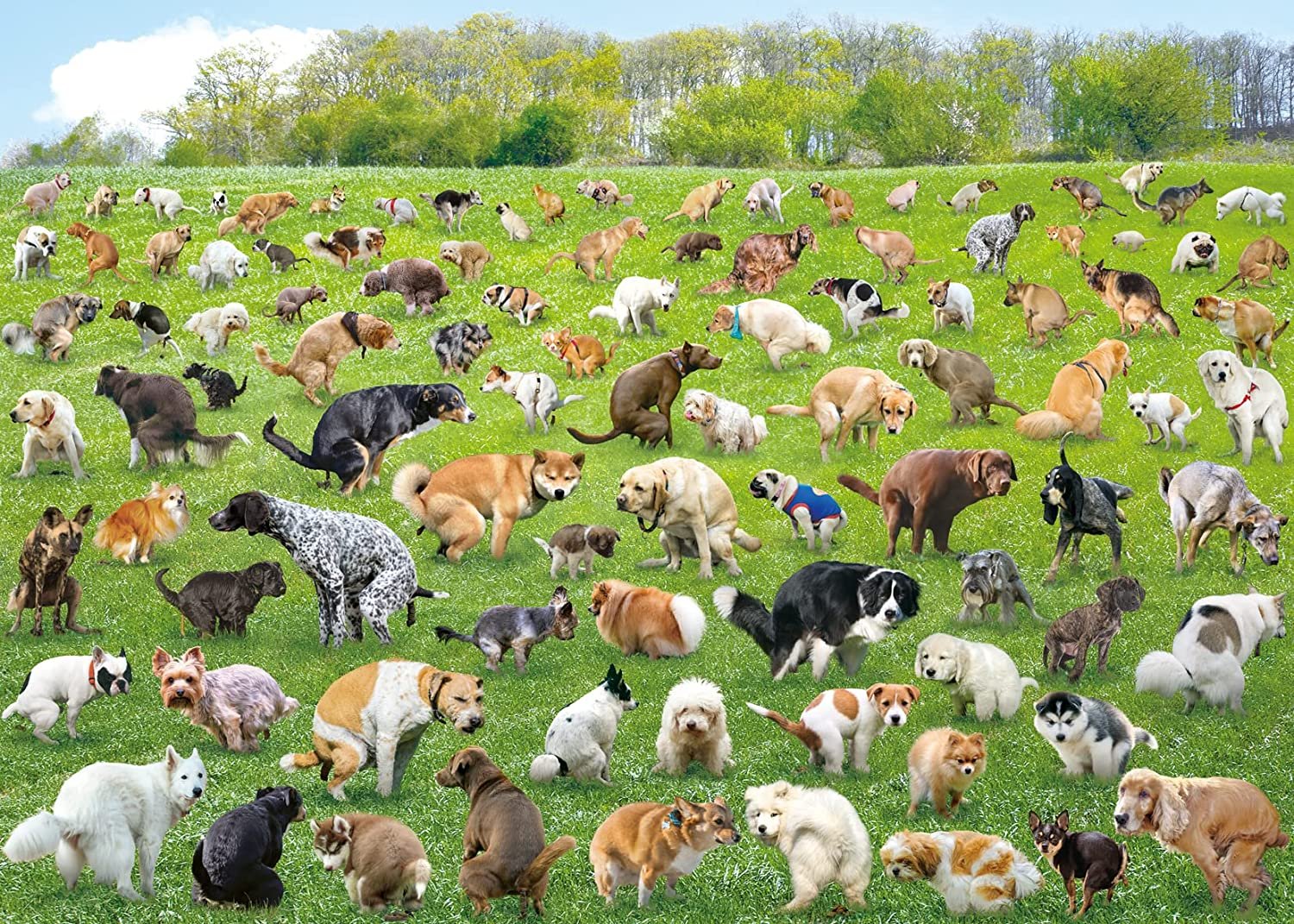 Last Day 49% OFF - Pooping Dog Jigsaw Puzzle 1000 Piece