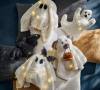 🎃Early Halloween Sale👻Halloween Little Ghost Plush Pillow-Buy 2 Free Shipping