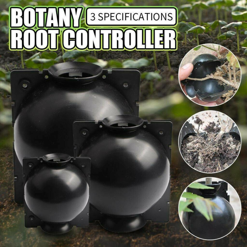 Plant Root Growing Box, Buy 4 Get Extra 20% OFF NOW