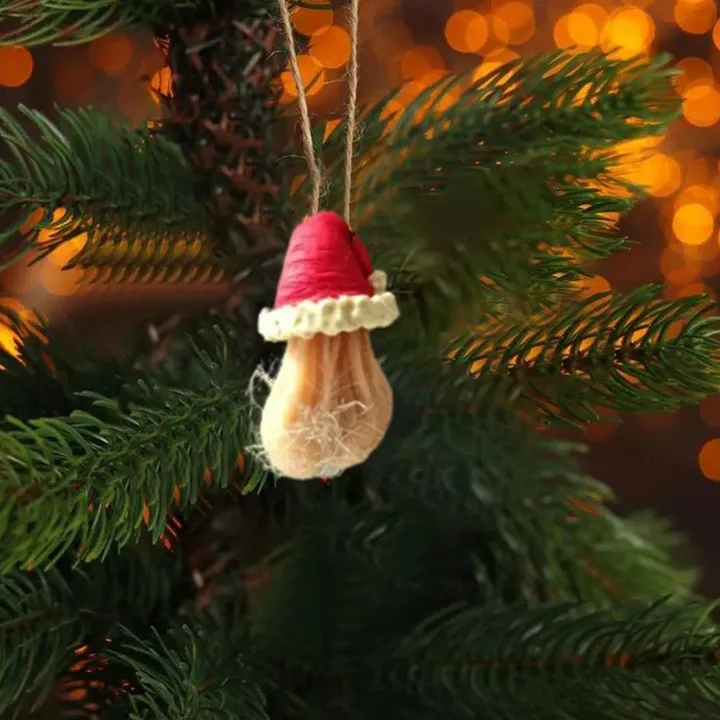 🎄TikTok  Christmas Sale - 70% OFF🎄Funny Egg Ornaments For Christmas🤣