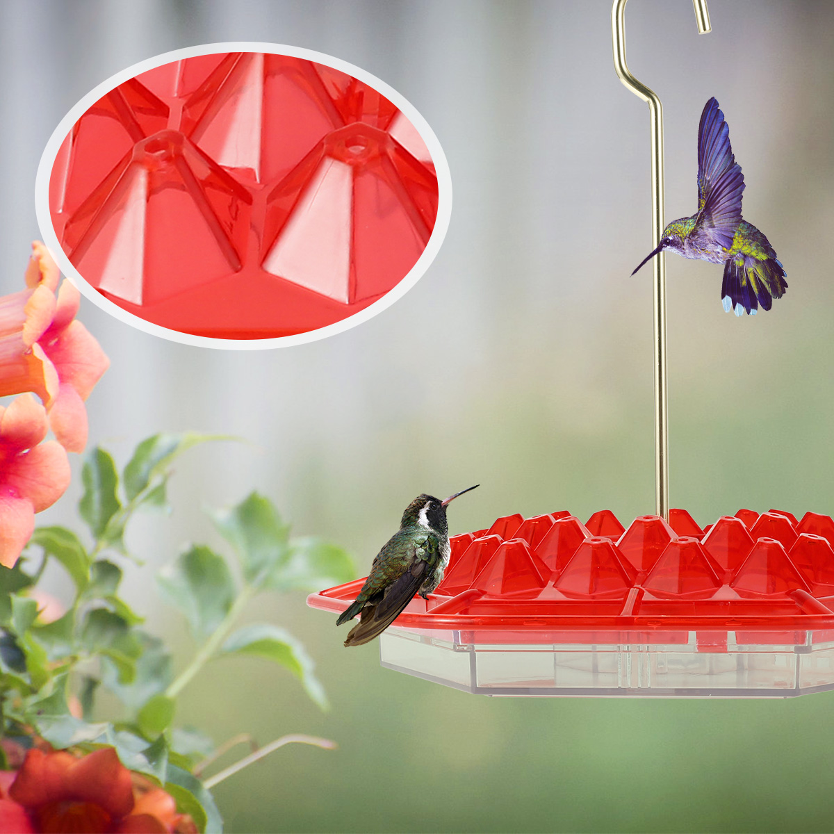 🔥Last Day Promotion 50% OFF🔥-Hummingbird Feeder(BUY MORE SAVE MORE)