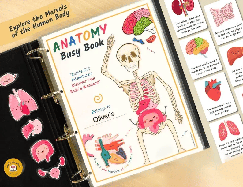 🎄Hot Christmas Sale🎁Human Anatomy Busy Book