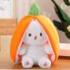 🔥2024 HOT SALE - 49% OFF🔥Strawberry Bunny Transformed into Little Rabbit Fruit Doll Plush Toy