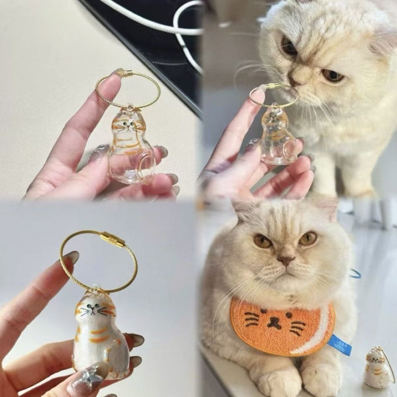 🎁TikTok Last Day Sale - 70% OFF🎉Transparent Cat Hair Storage Box Charm