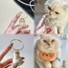 🎁TikTok Last Day Sale - 70% OFF🎉Transparent Cat Hair Storage Box Charm