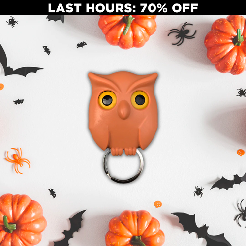 Spooky Night Owl Key Holder (70% OFF)