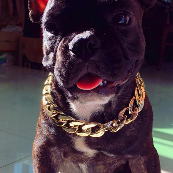 Awesome Thick Gold Chain Pets Collar-Can be joined together